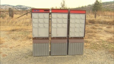 Thieves plunder 53 community mailboxes in B.C. community
