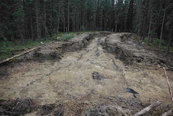 Record Bitumen Seepage in Alberta Continues Unabated