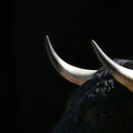Nova Scotia Police Searching For Bull On The Loose