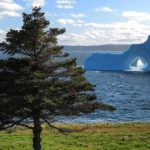 Picture-perfect iceberg dazzles on Newfoundland\'s Bonavista Peninsula