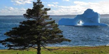 Picture-perfect iceberg dazzles on Newfoundland's Bonavista Peninsula