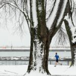 Mild spring with some wintry blasts predicted for most of Canada: Weather Network